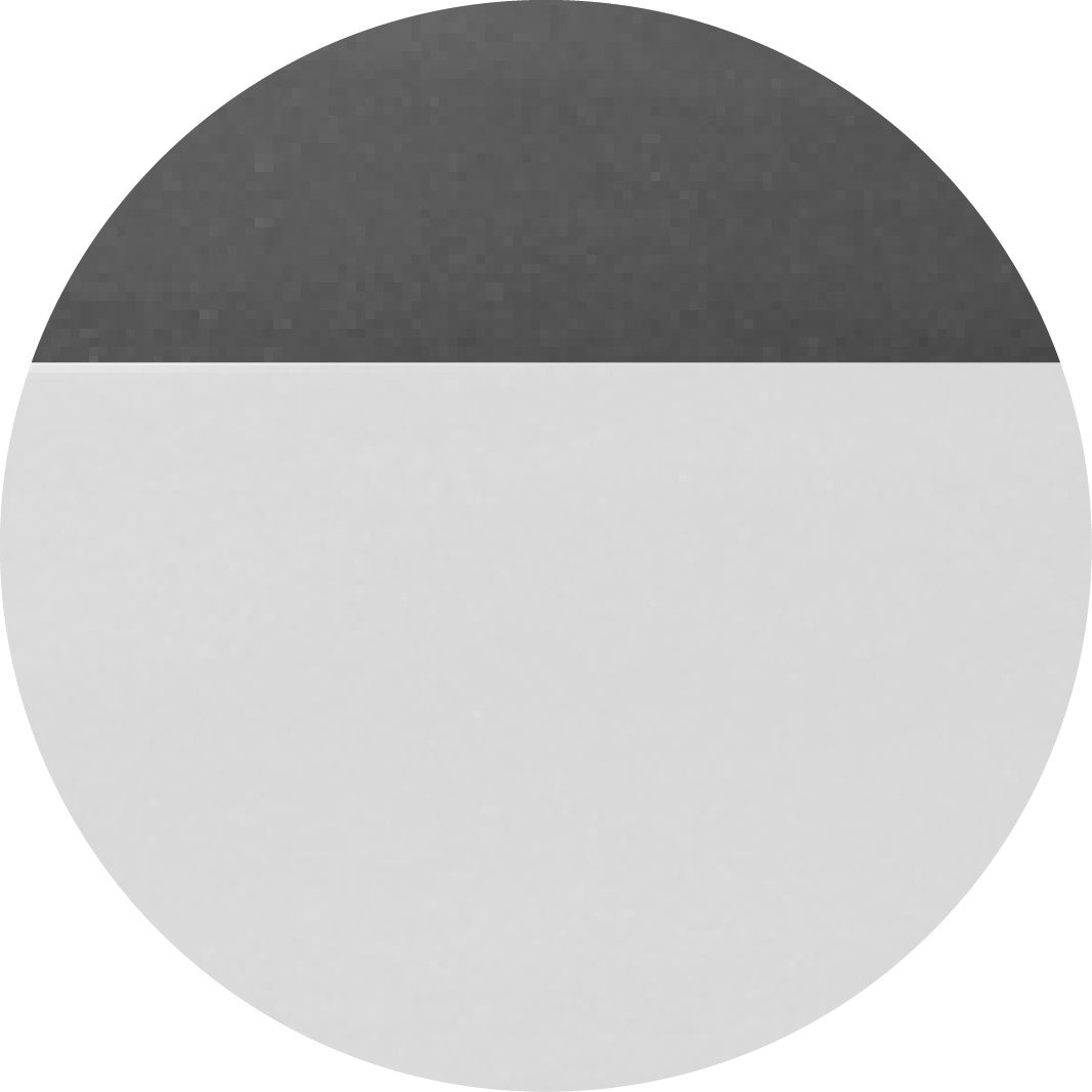 Pure White with Black Roof