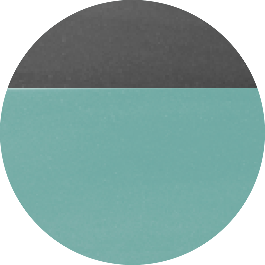 Vitality Green with Black Roof